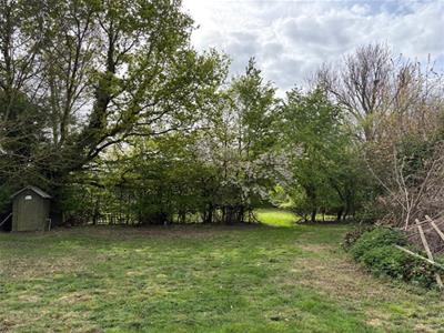 Picture 21